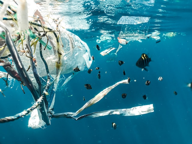 Understanding the Environmental Consequences of Microplastics in Our Oceans